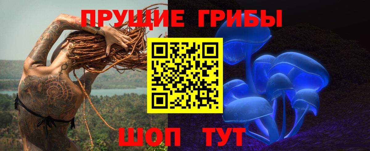 Псилоцибиновые грибы GOLDEN TEACHER Малоярославец