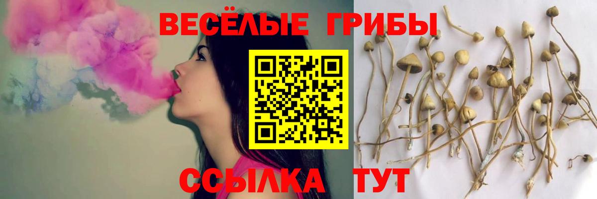 Малоярославец  Галлюциногенные грибы Psilocybine cubensis  Вход с VPN 
