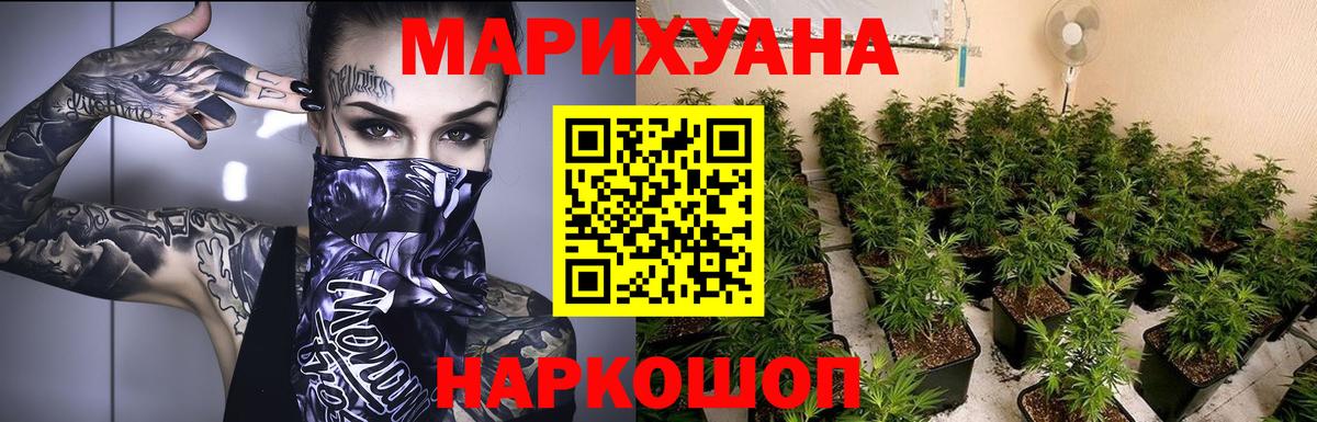 Каннабис сатива Малоярославец
